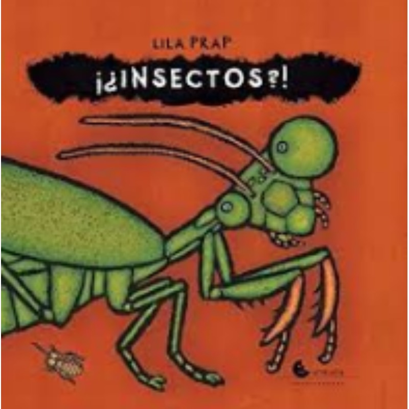 Insectos?!