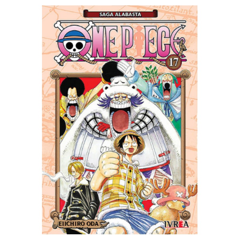 One Piece 17