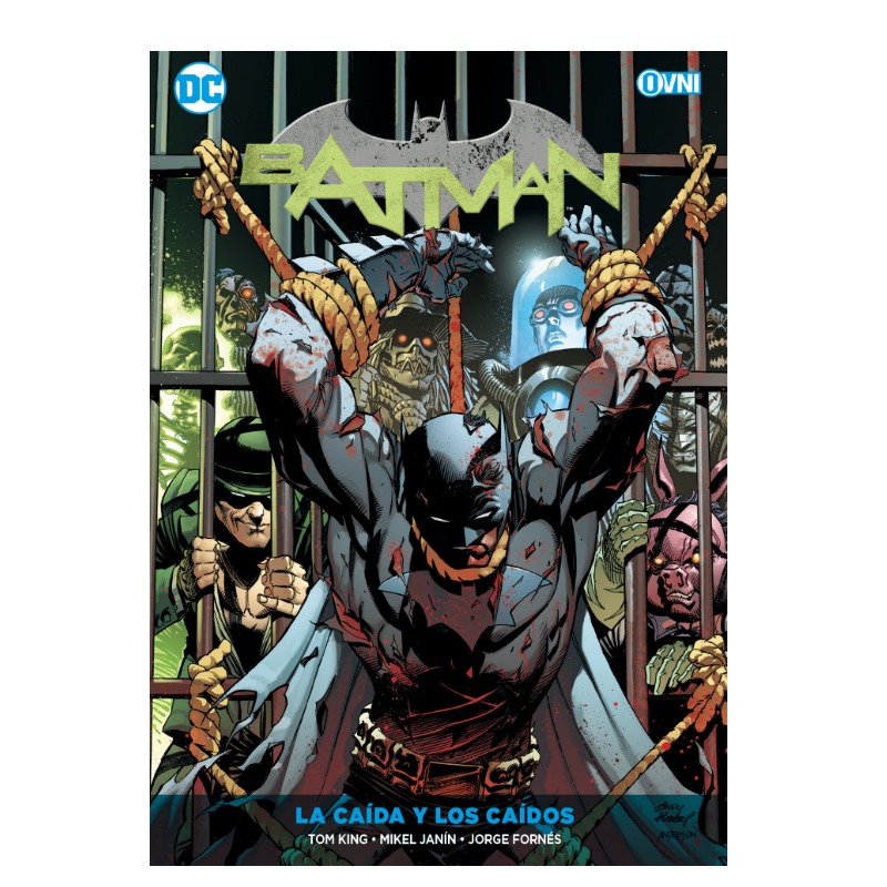  Batman Vol. 10: La CaÍda Y Los CaÍdos