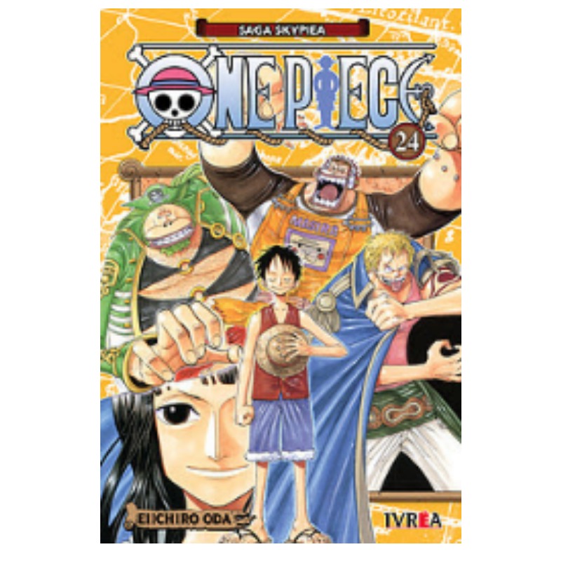 One Piece 24