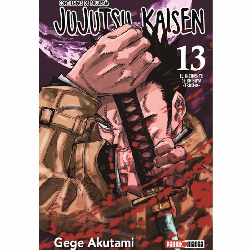 Jujutsu Kaisen 13