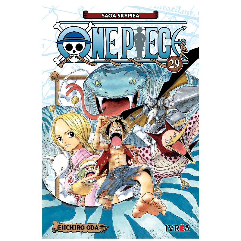 One Piece 29