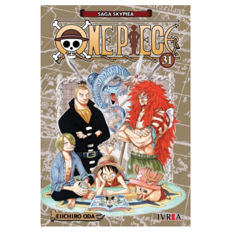 One Piece 31