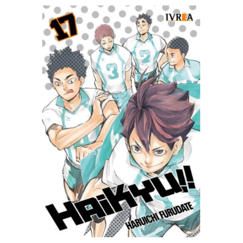 Haikyu!! 17