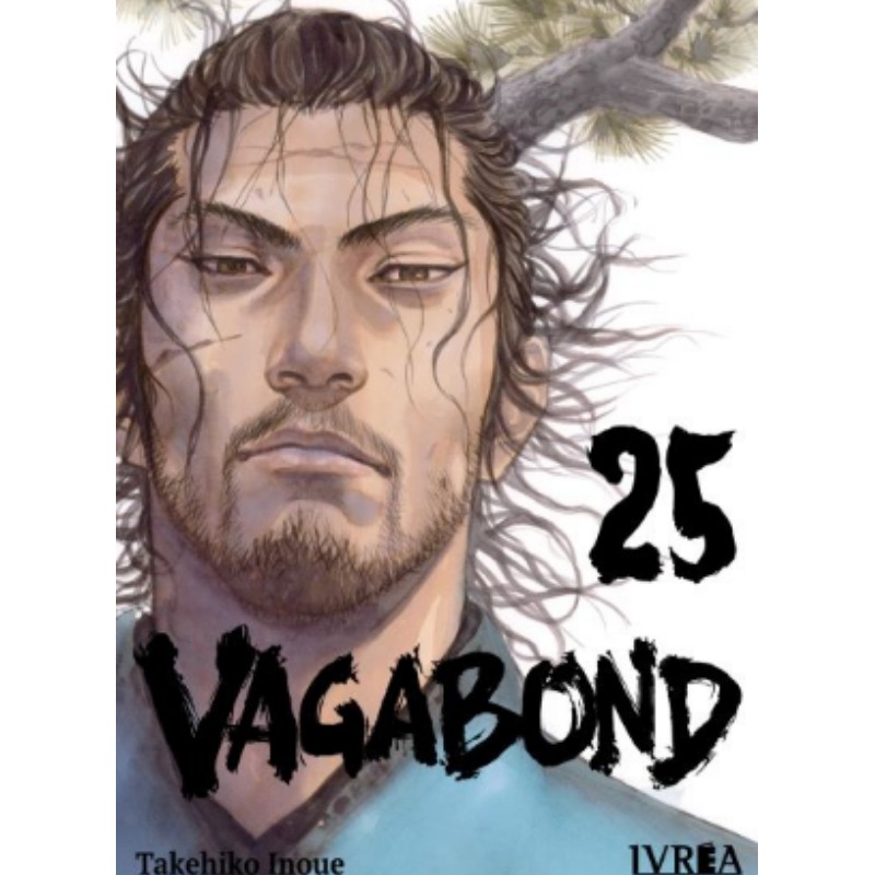 Vagabond 25