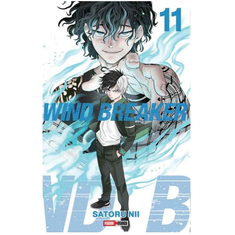 Wind Breaker 11