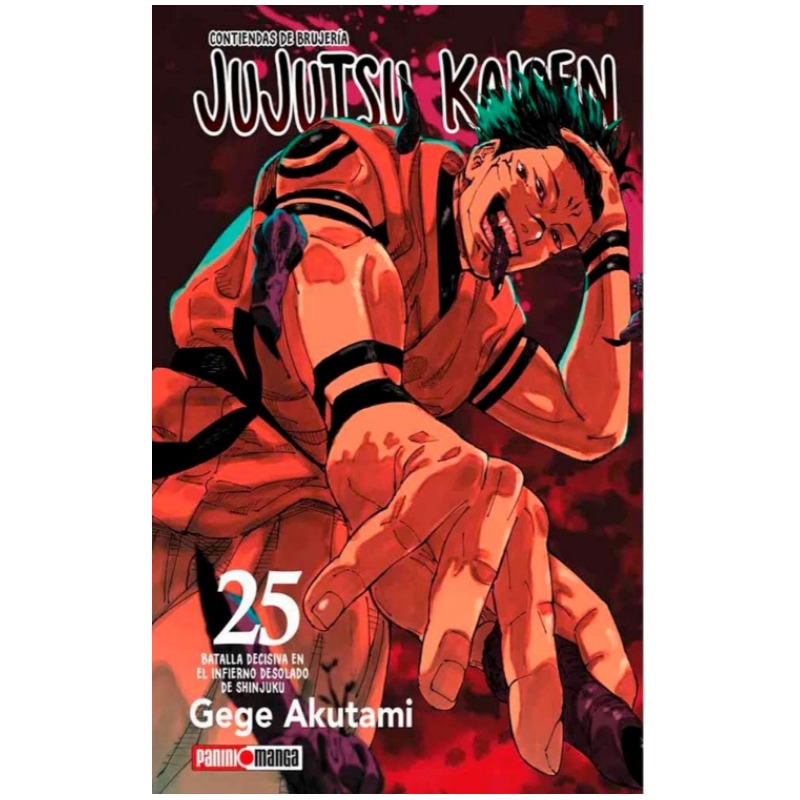 Jujutsu Kaisen Vol 25 
