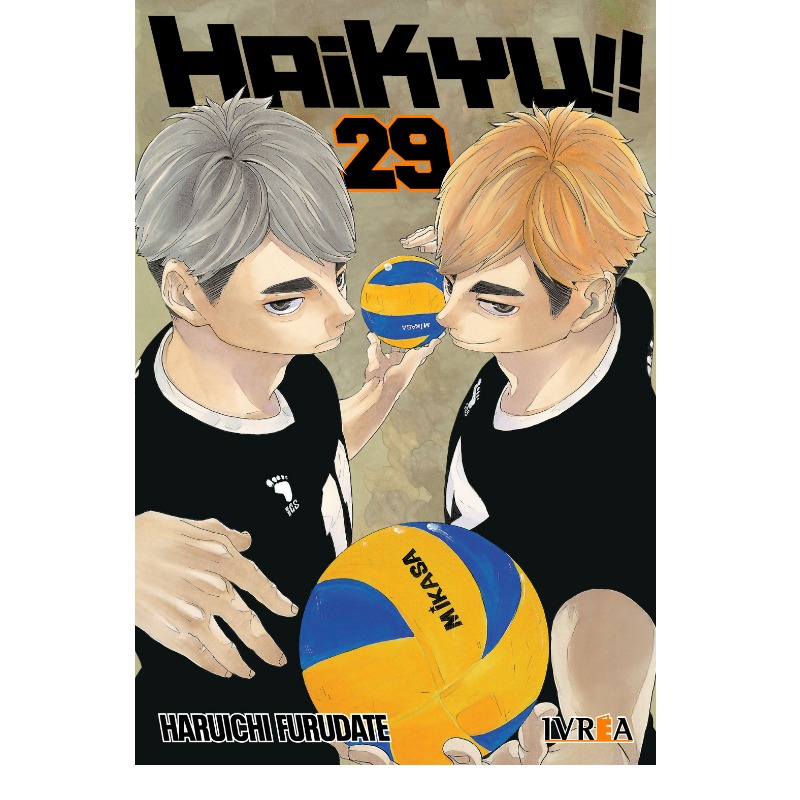 Haikyu!! 29
