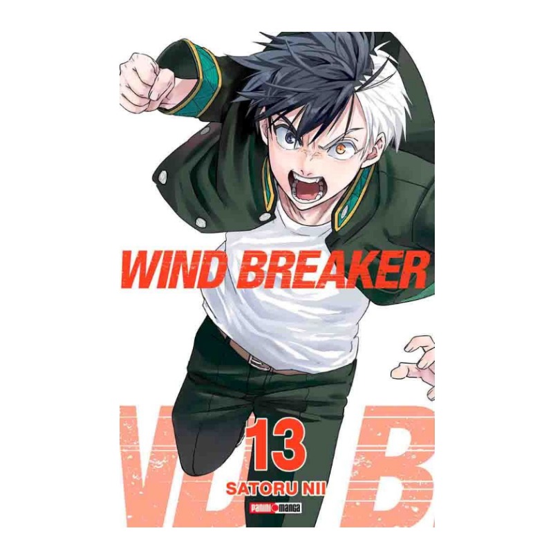 Wind Breaker 13