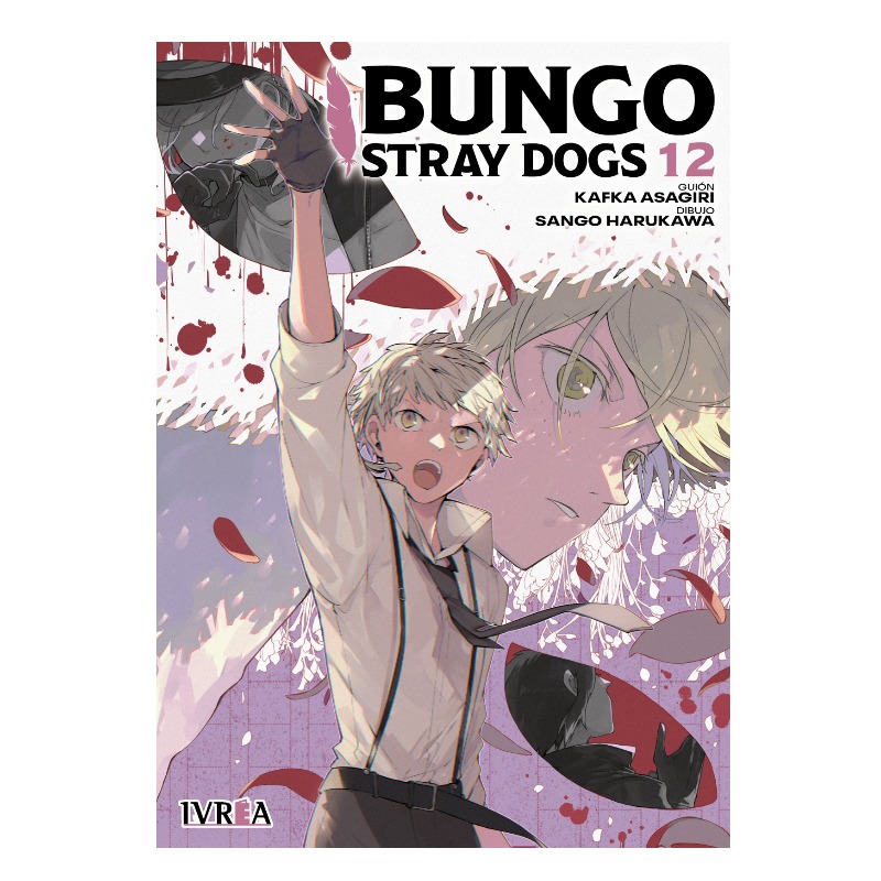 Bungo Stray Dogs 12